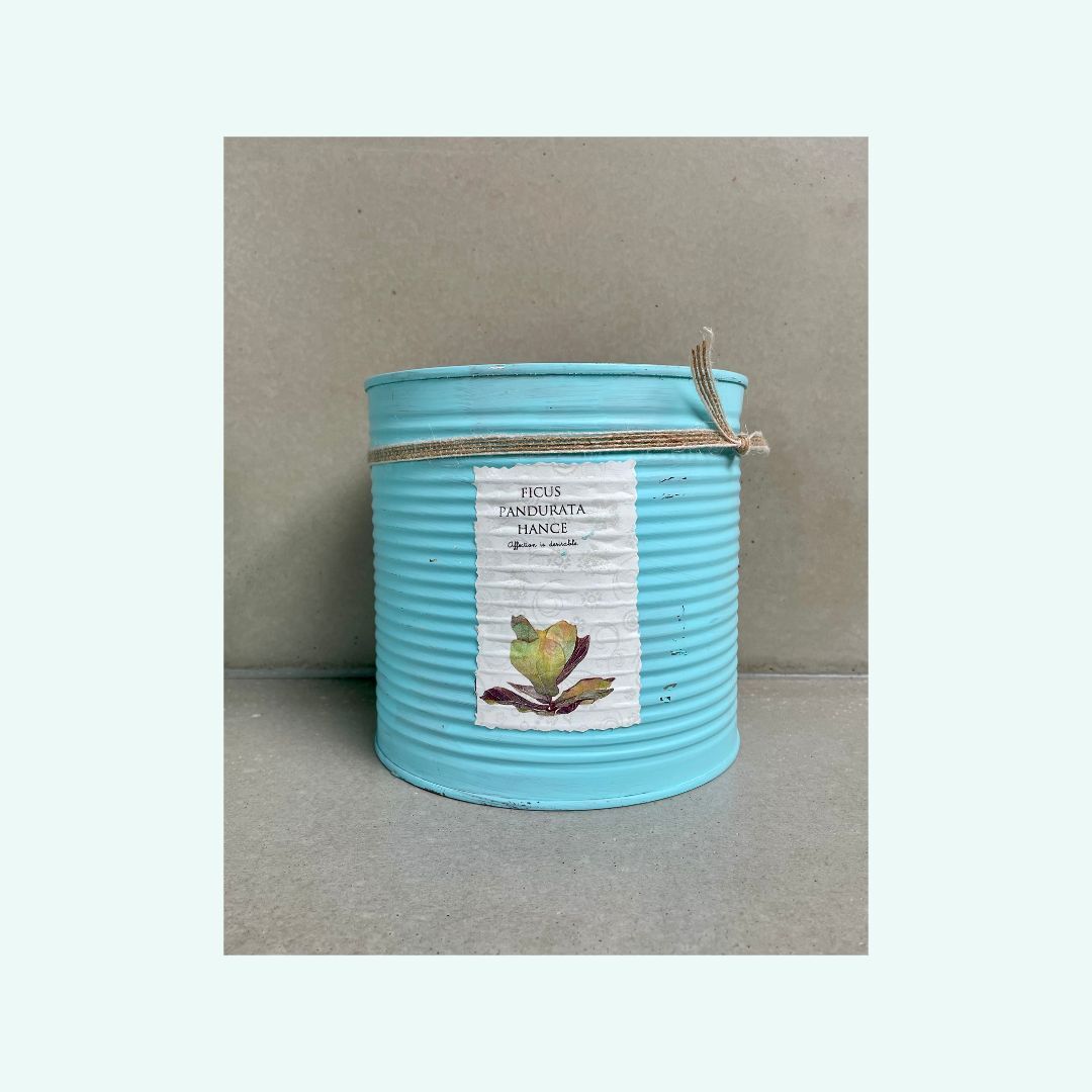 Turkos plÄtburk nr 2