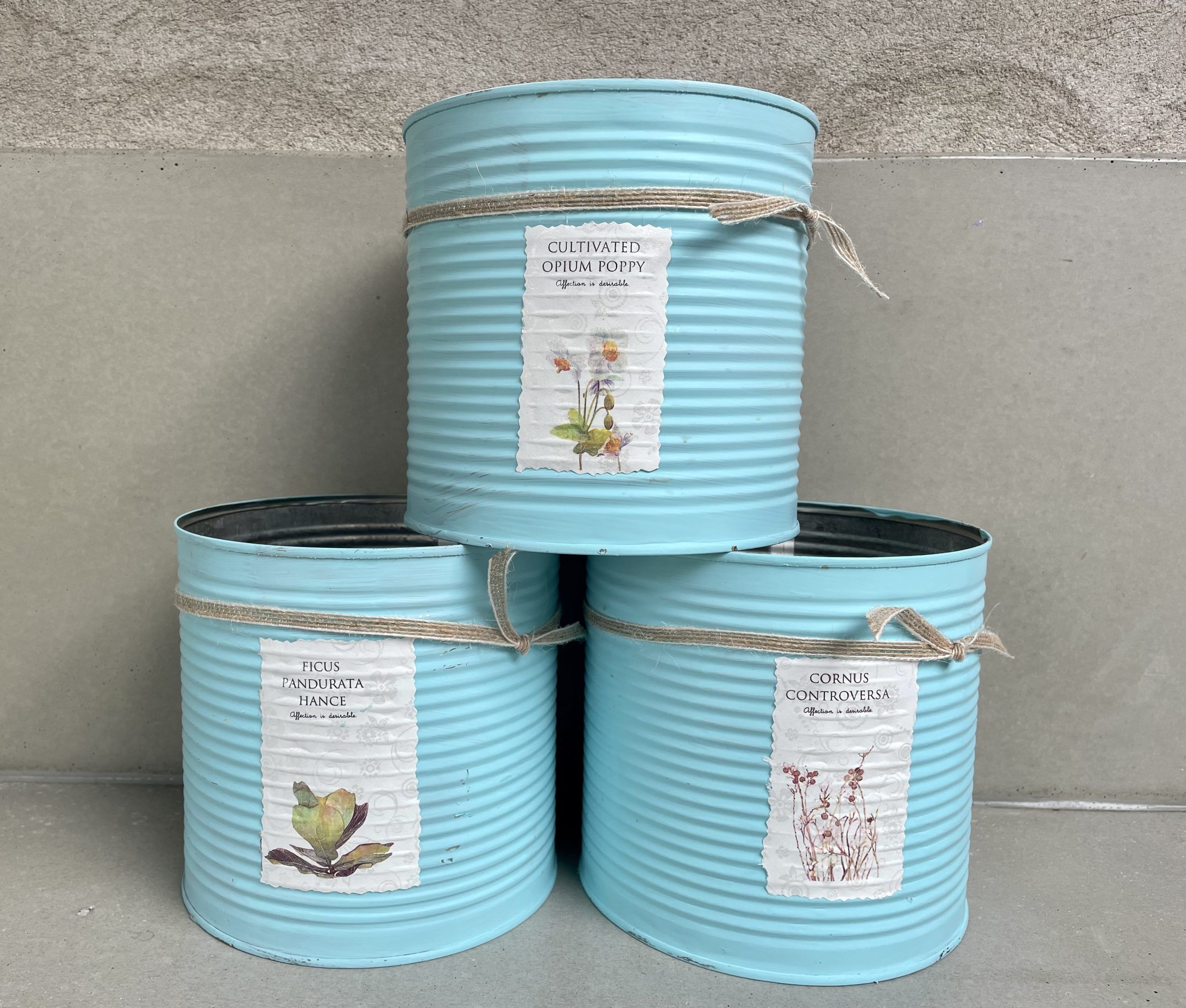 Turkos plÄtburk nr 2 - Bild 3